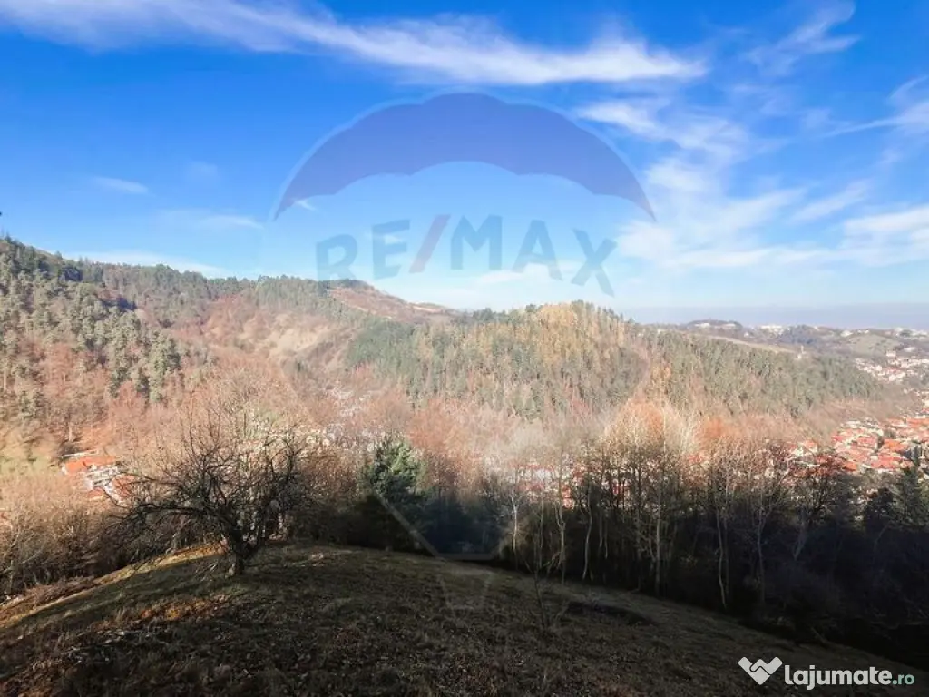Teren Colinar Panoramic – 17.684 mp în Scheii Brașovului