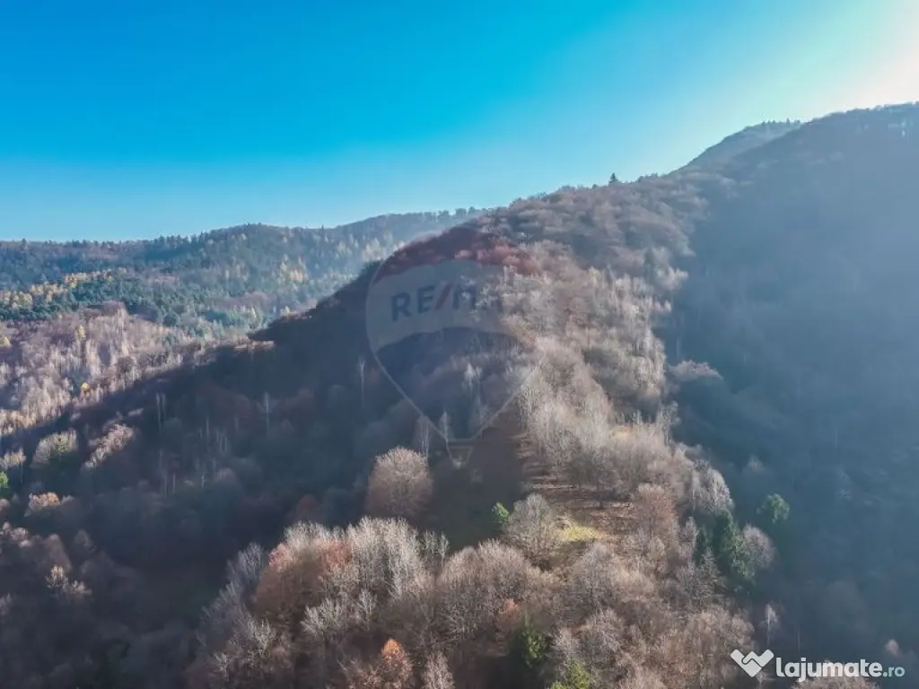 Teren Colinar Panoramic – 17.684 mp în Scheii Brașovului