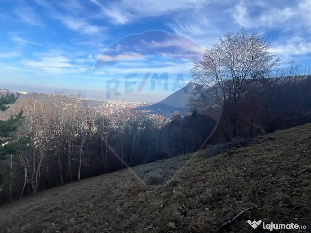 Teren Colinar Panoramic – 17.684 mp în Scheii Brașovului