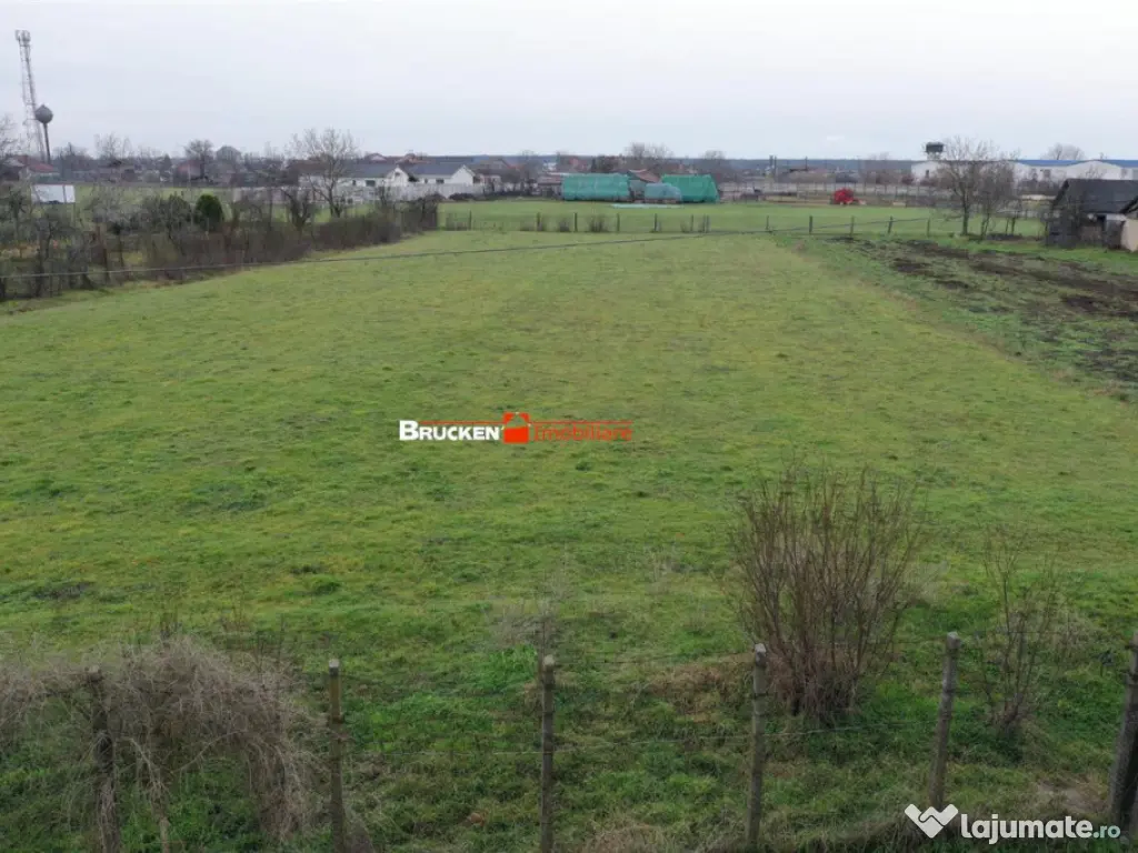 Teren intravilan de 2.623 mp in Les – la 20 min de Oradea 