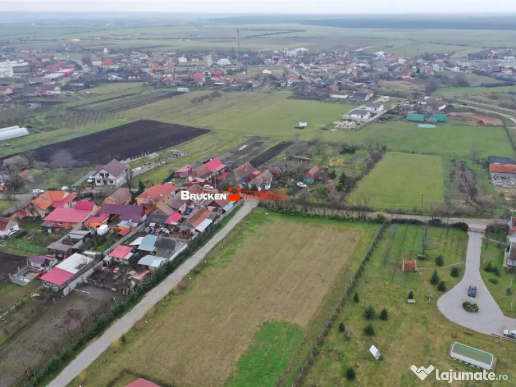 Teren intravilan de 2.623 mp in Les – la 20 min de Oradea 