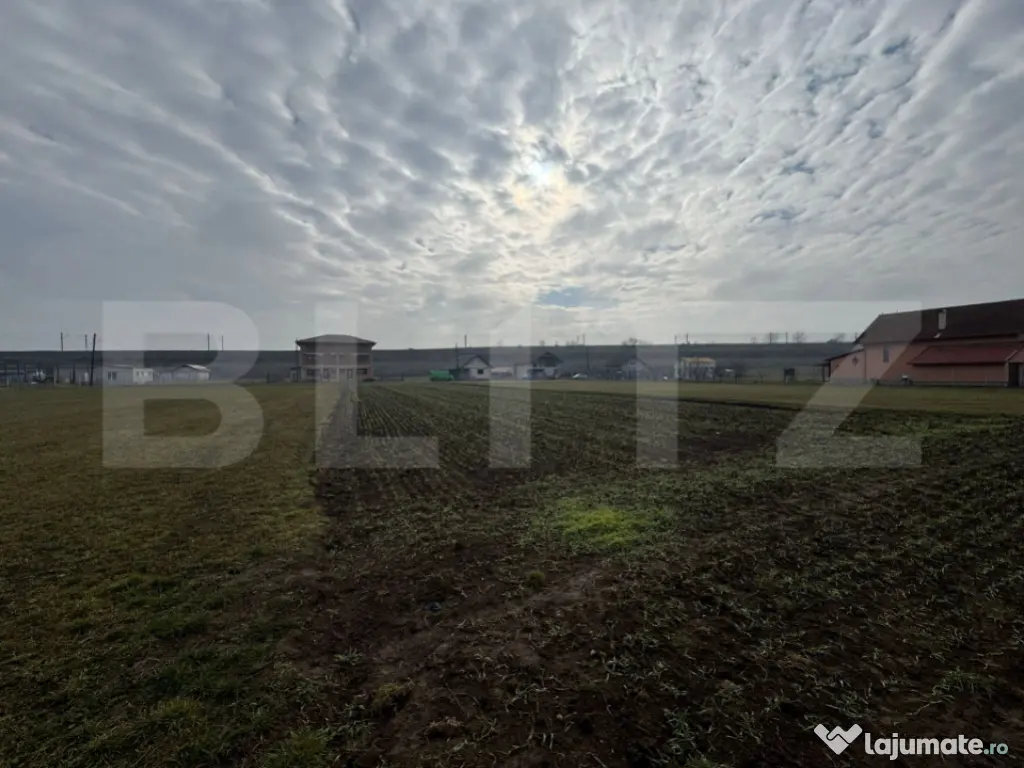 Teren intravilan 1.600 mp | Vințu de Jos | Deschidere ~20 m 