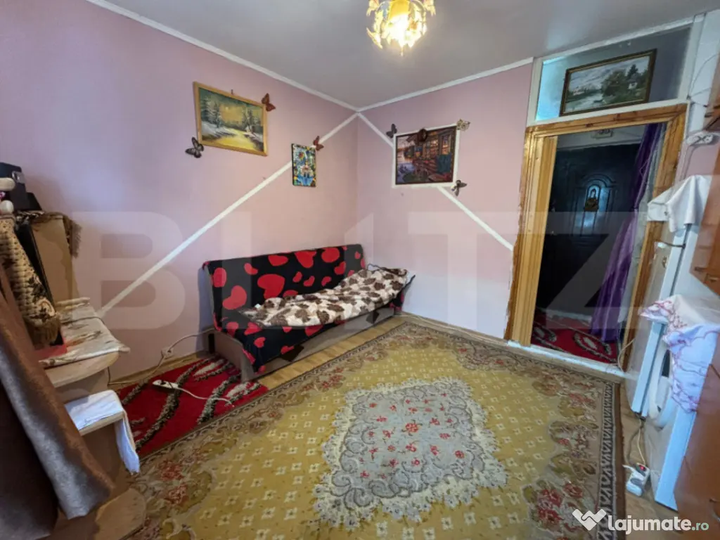 Camera de camin, 17 mp, zona Bularga 