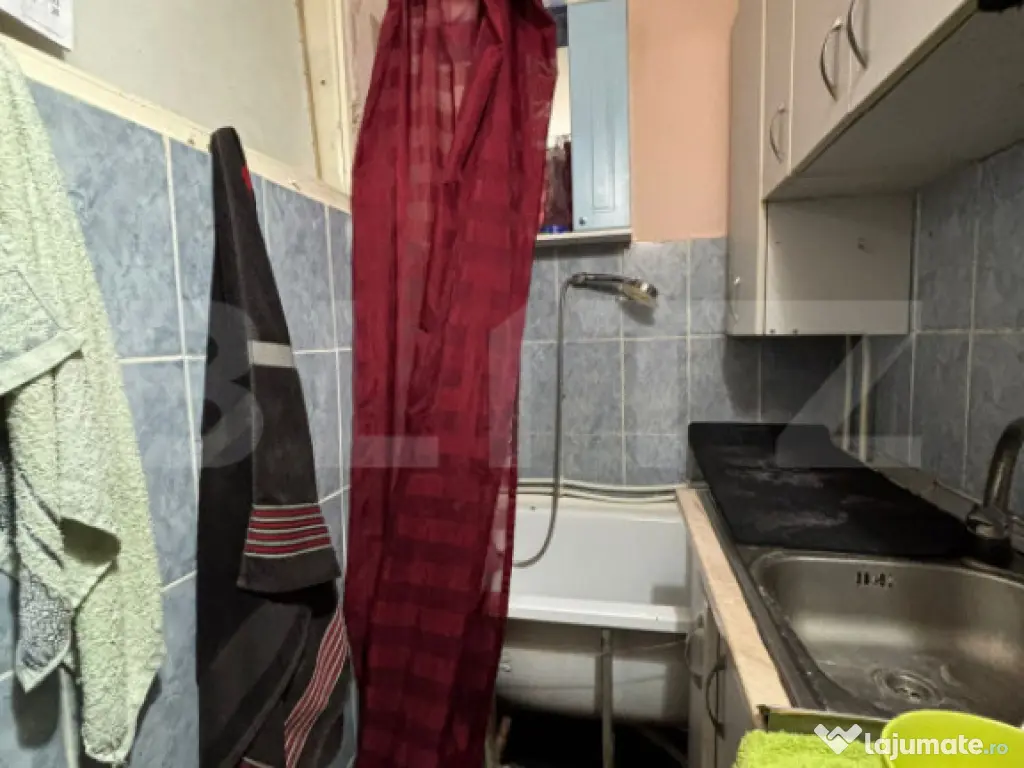 Camera de camin, 17 mp, zona Bularga 