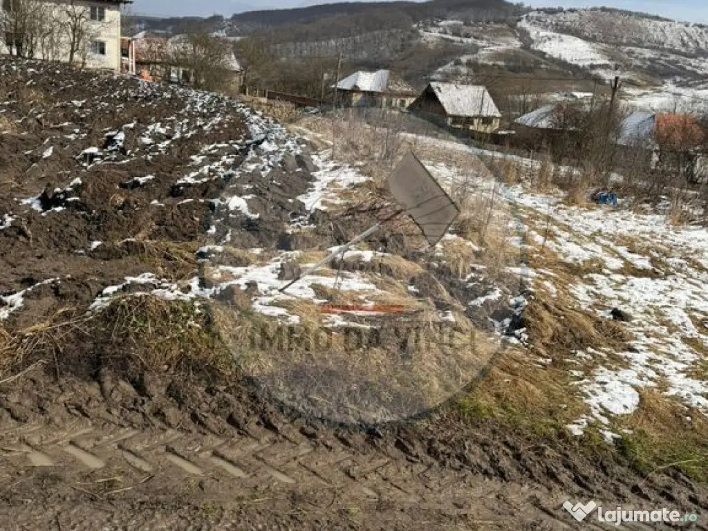 Vanzare teren itravilan Sanmartin,com. Chinteni CJ 