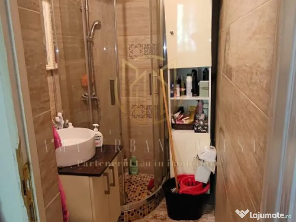 Teiul Doamnei 2 cam 35 mp SU ,cf 2 , an 1965, pet 63000 eur 