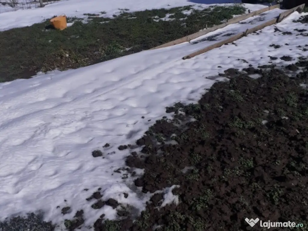 Techirghiol , teren intravilan cu o casuta de vacanta 