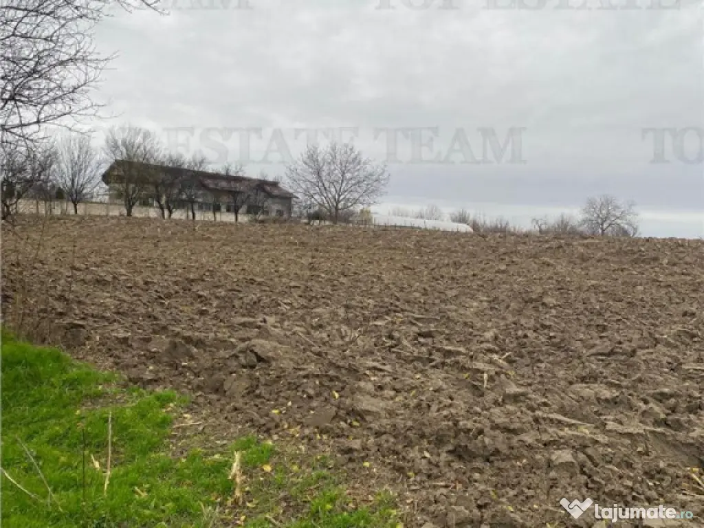 Teren 12223 mp in Prahova