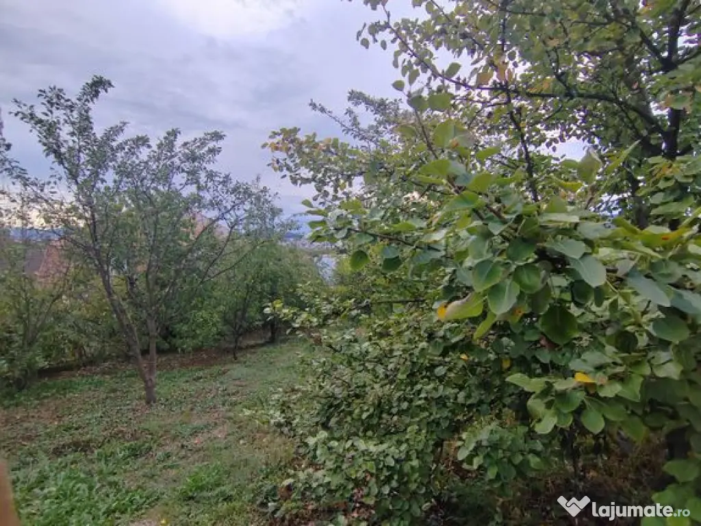 Casa - 24 ari de teren - Valea Ghinzii 