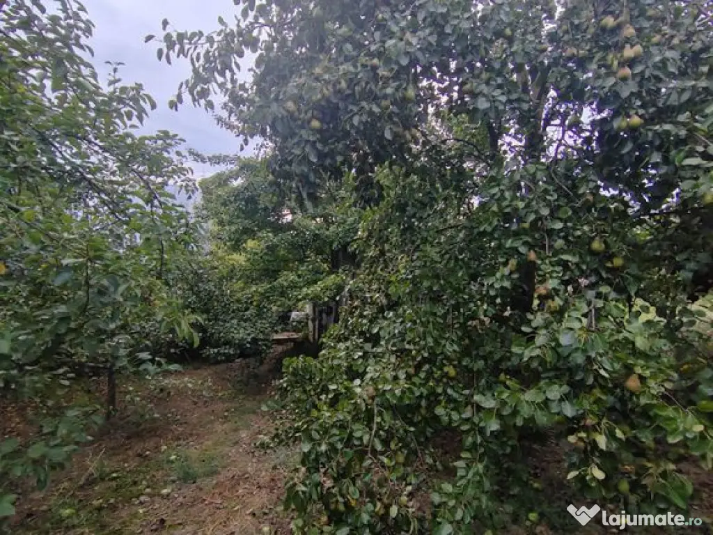 Casa - 24 ari de teren - Valea Ghinzii 