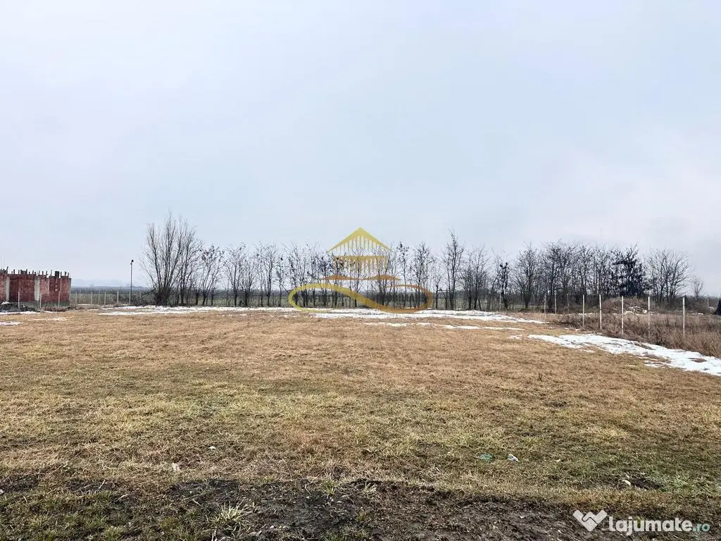 Teren de vanzare Siretu Saucesti Bacau