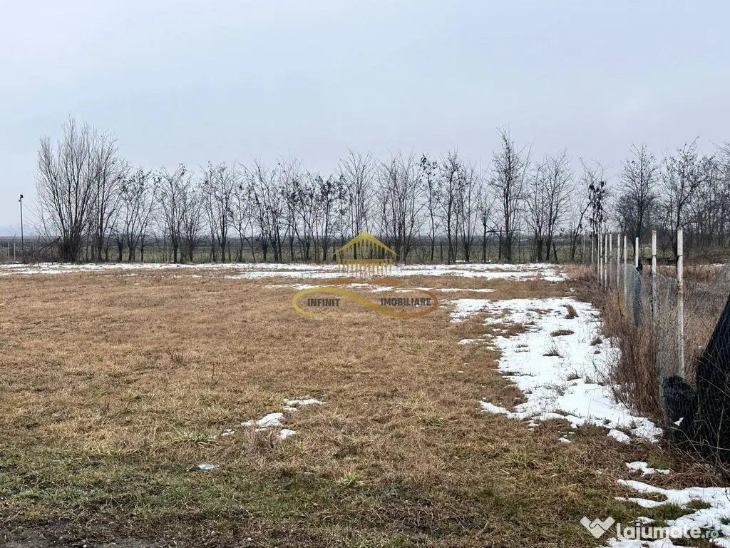 Teren de vanzare Siretu Saucesti Bacau