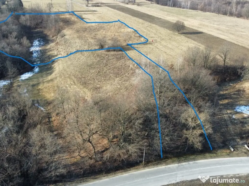 Teren extravilan- Sinca Noua, Brasov, 12500mp