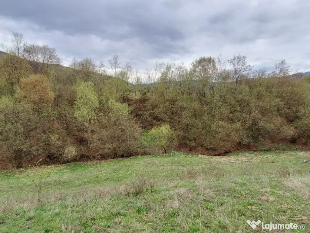 Teren extravilan- Sinca Noua, Brasov, 12500mp