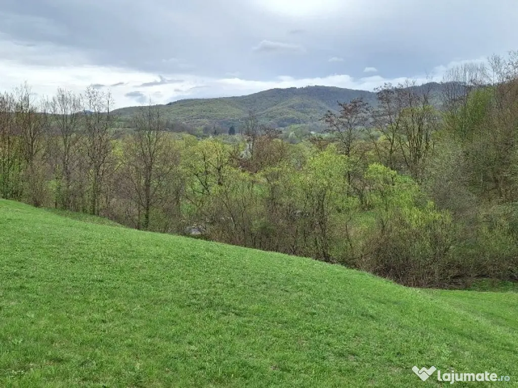 Teren extravilan- Sinca Noua, Brasov, 12500mp