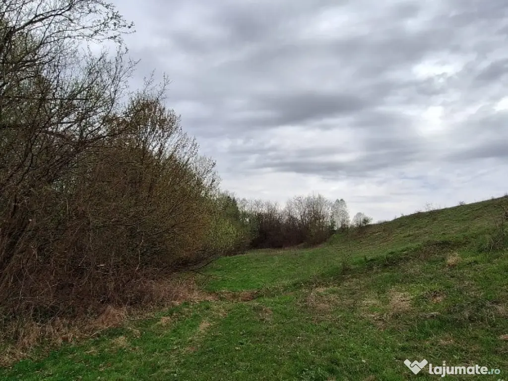 Teren extravilan- Sinca Noua, Brasov, 12500mp