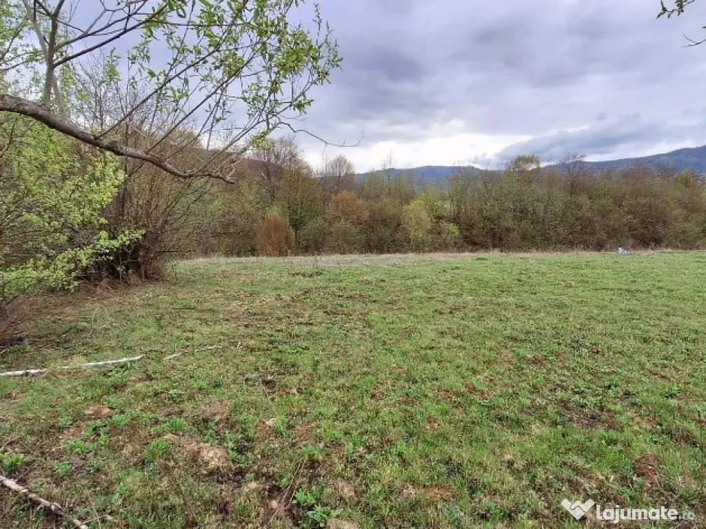 Teren extravilan- Sinca Noua, Brasov, 12500mp