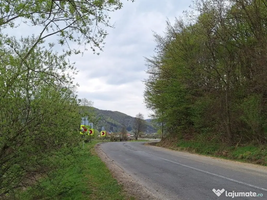 Teren extravilan- Sinca Noua, Brasov, 12500mp