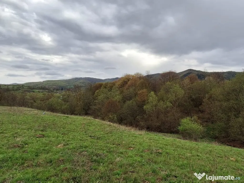 Teren extravilan- Sinca Noua, Brasov, 12500mp