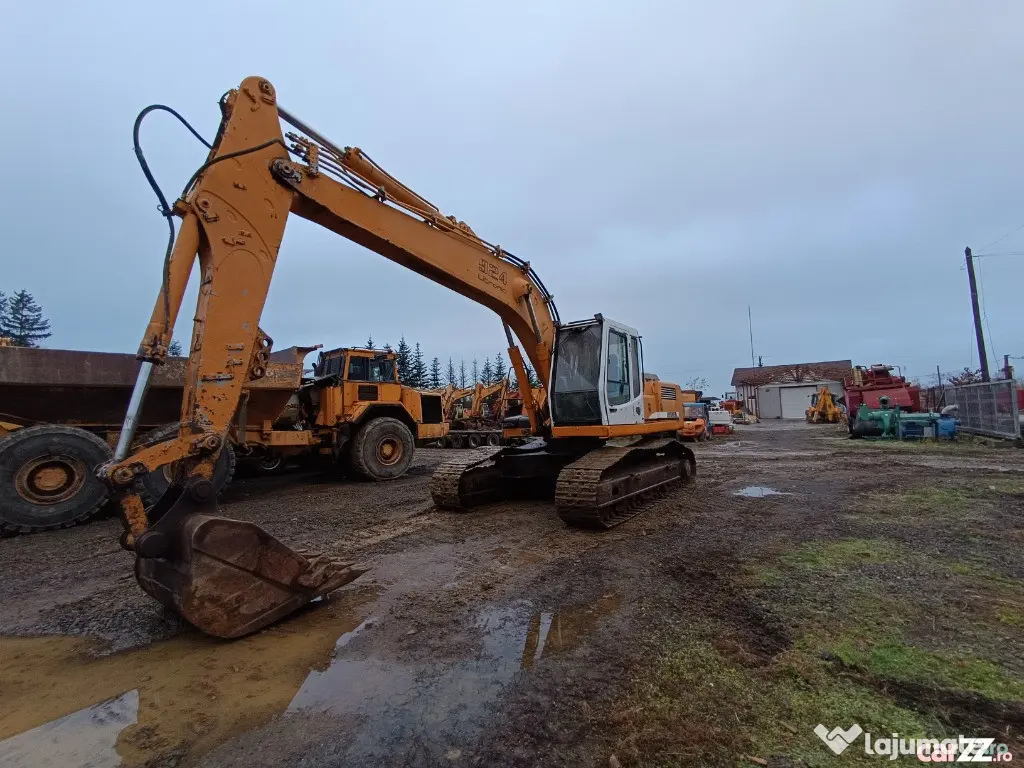 Excavator pe senile Liebherr 924 HDSL, 2001 
