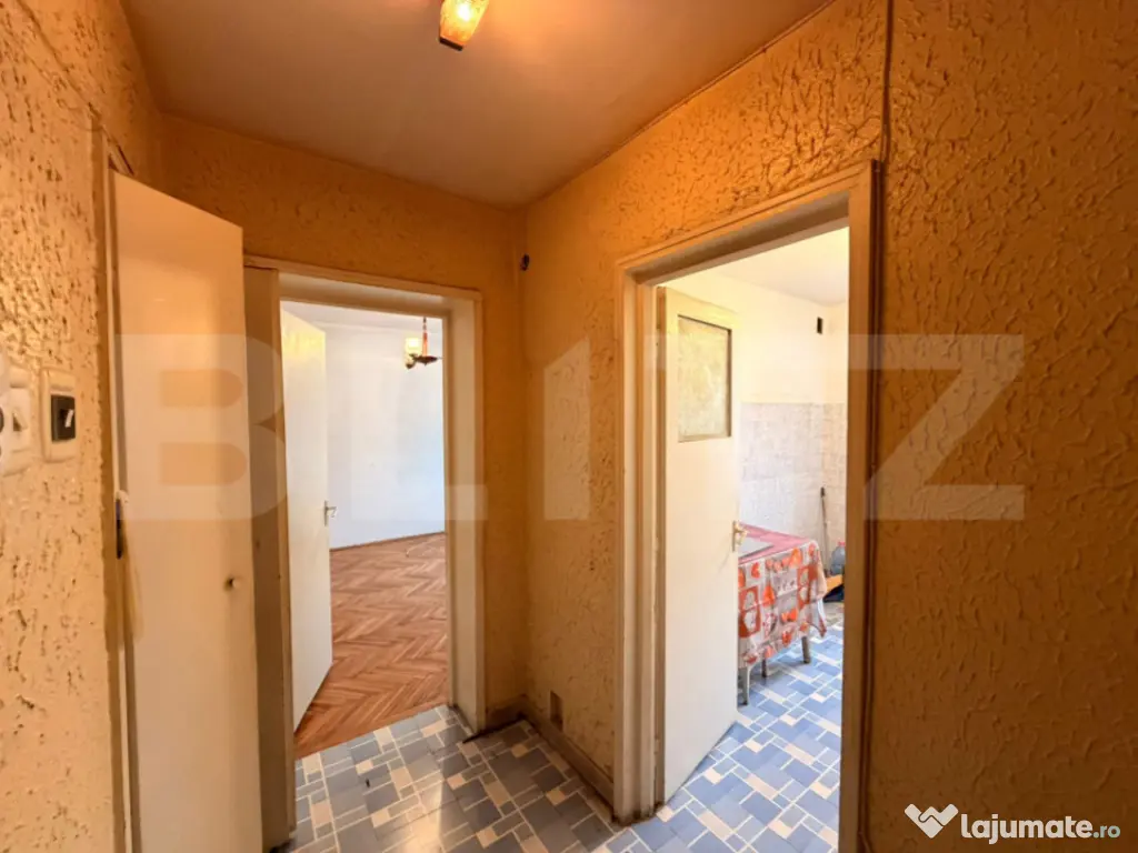 Apartament 2 camere, Etaj 1, Brazda lui Novac, Lângă Pia?