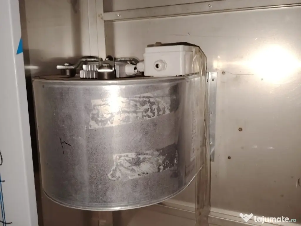 hota profesionala noua 