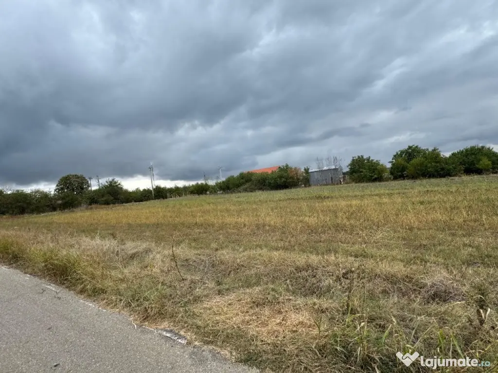 Vand teren Intravilan 1400 MP in Parcul National Comana - Vlad Tepes