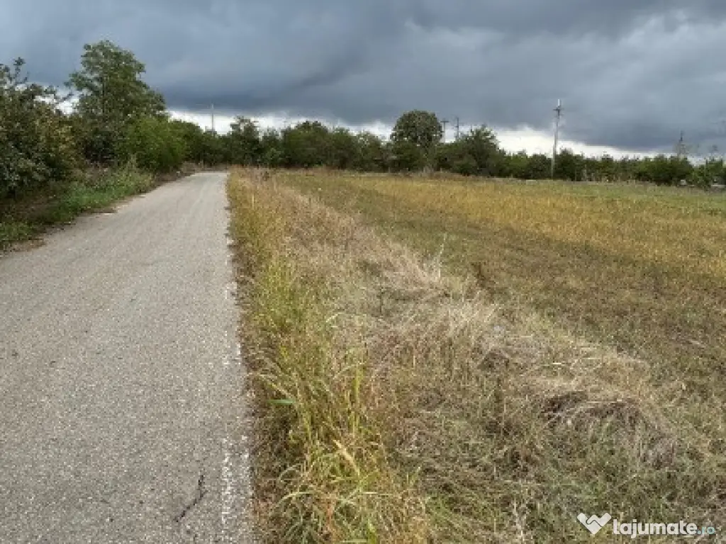 Vand teren Intravilan 1400 MP in Parcul National Comana - Vlad Tepes