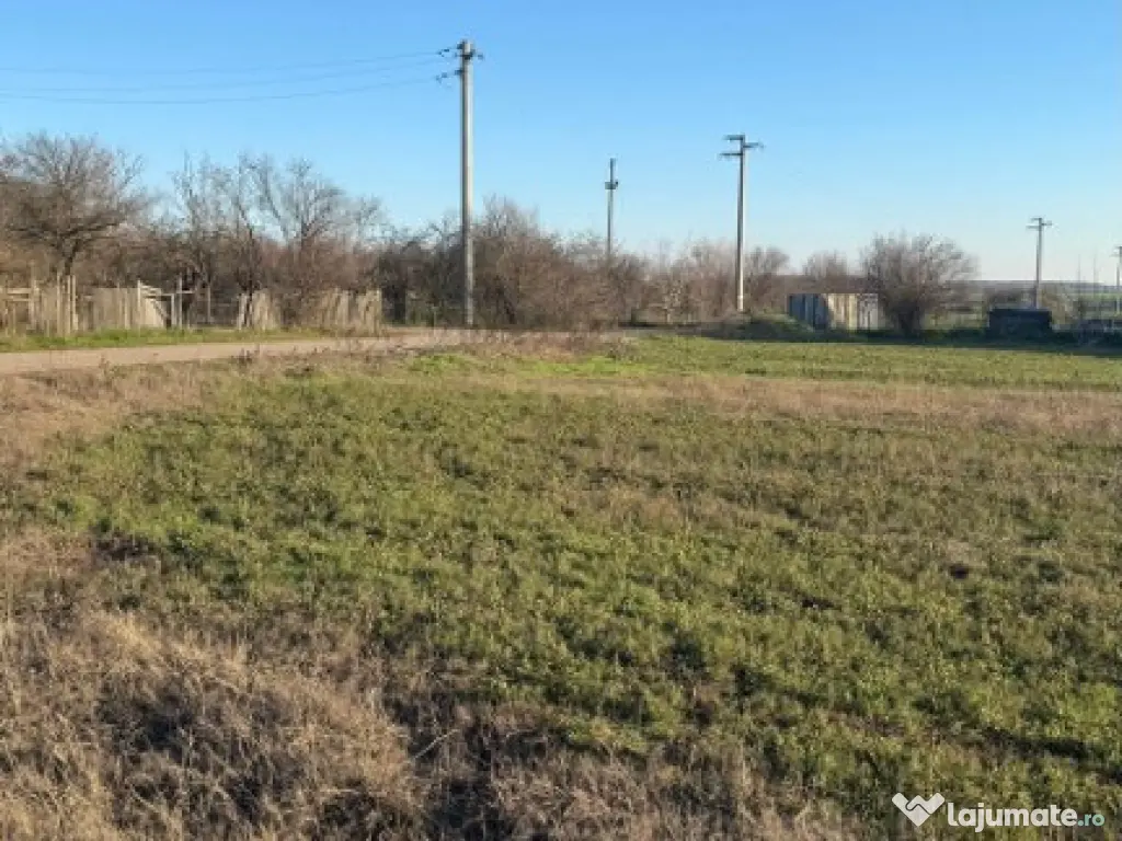 Vand teren Intravilan 1400 MP in Parcul National Comana - Vlad Tepes