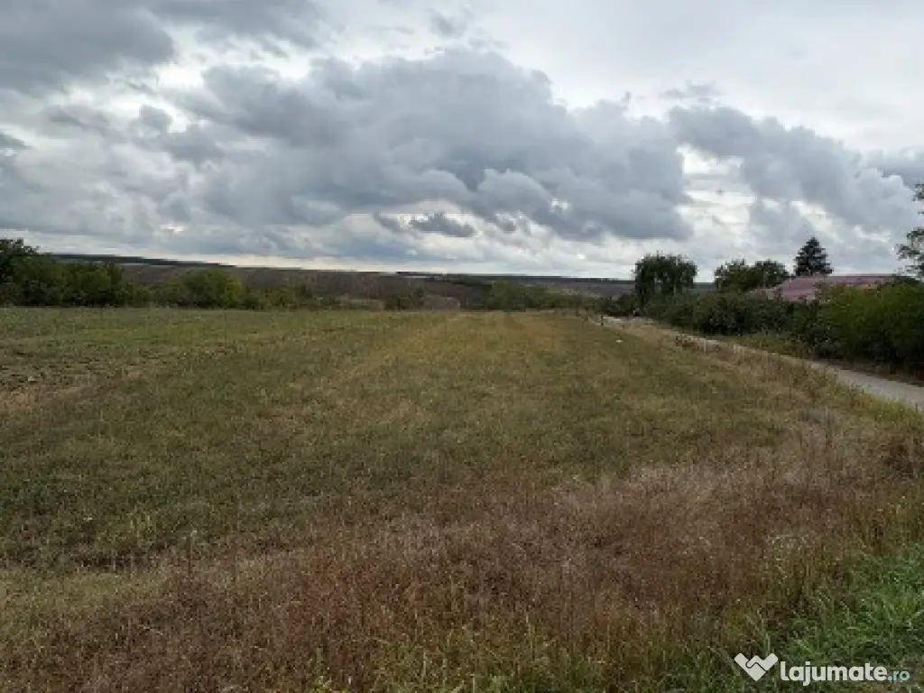 Vand teren Intravilan 1400 MP in Parcul National Comana - Vlad Tepes