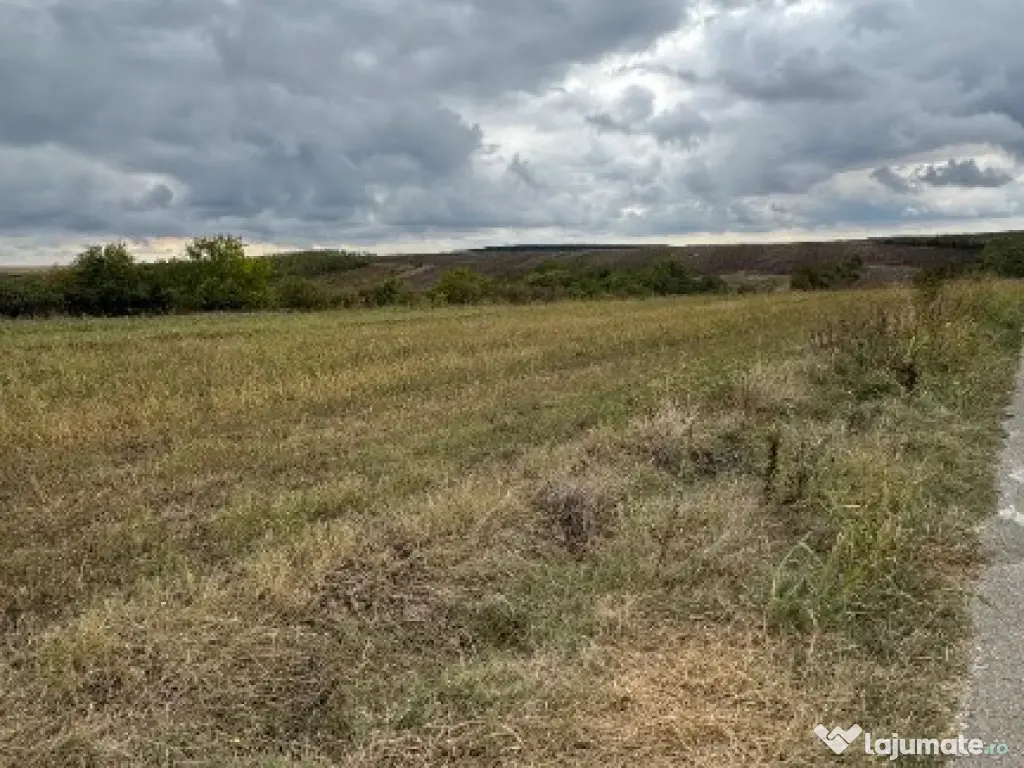 Vand teren Intravilan 1400 MP in Parcul National Comana - Vlad Tepes