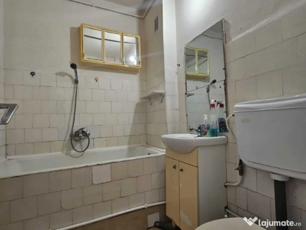 Apartament 2 camere zona Casa de cultura -Pietonala