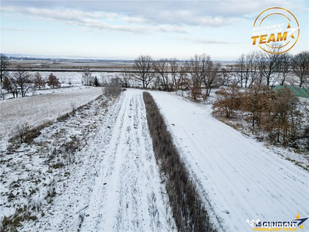 FILM! Oaza ta de liniste pe 4.900mp teren intravilan, Tufala 