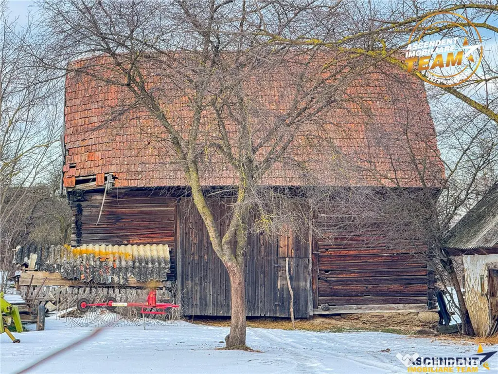 FILM! Oaza ta de liniste pe 4.900mp teren intravilan, Tufala 