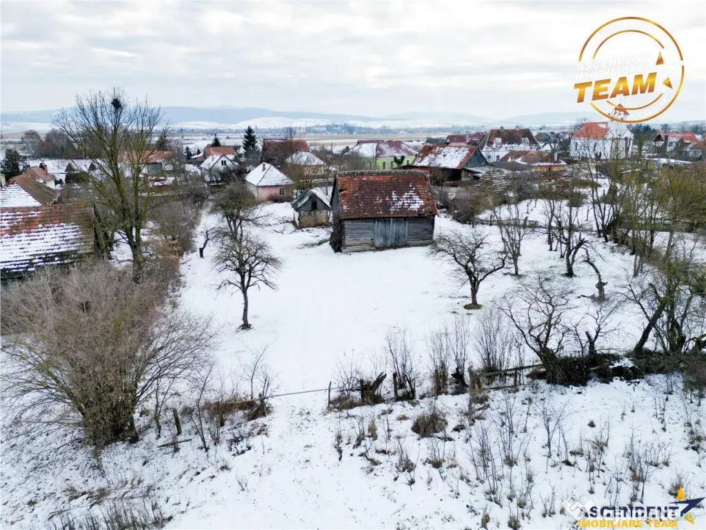 FILM! Oaza ta de liniste pe 4.900mp teren intravilan, Tufala 