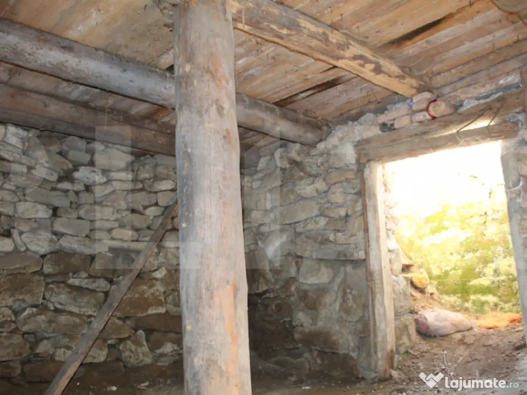 Casă batraneasca cu teren generos - Telechia 