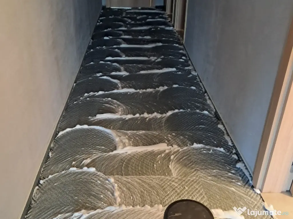 Curățare profesională mochete, canapele, tapițerii și covoare 