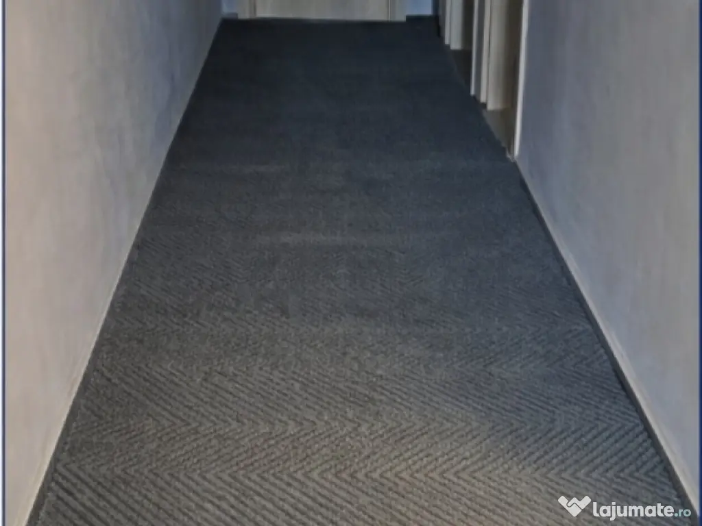 Curățare profesională mochete, canapele, tapițerii și covoare 