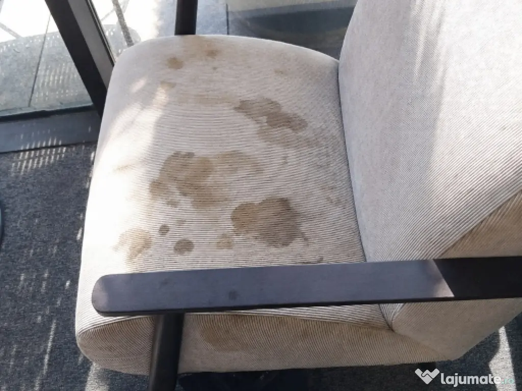 Curățare profesională mochete, canapele, tapițerii și covoare 