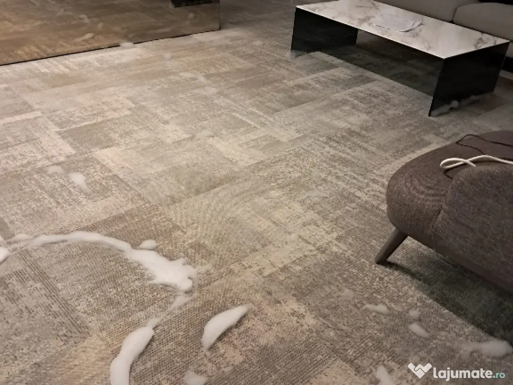 Curățare profesională mochete, canapele, tapițerii și covoare 