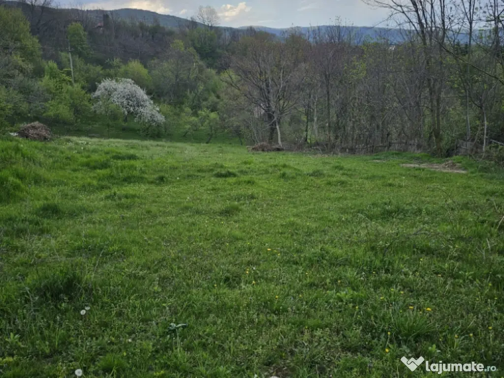 Vând loturi teren intravilane! 975mp,949mp,1131mp,1450mp