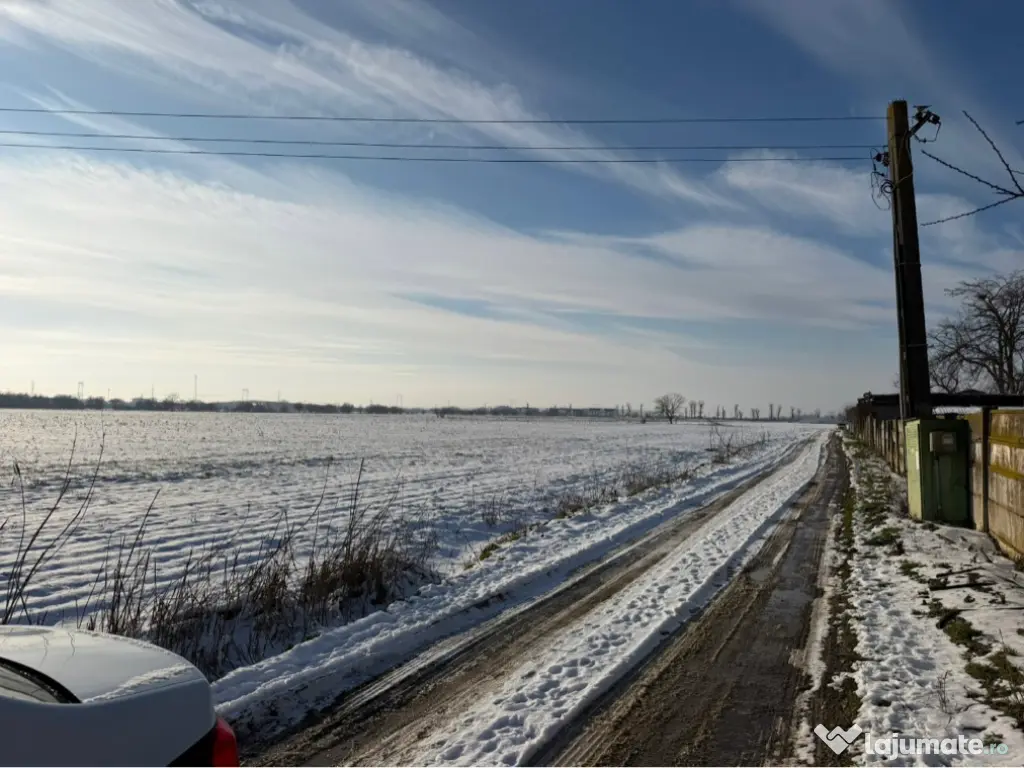 Teren Măgurele proprietar 4829mp 