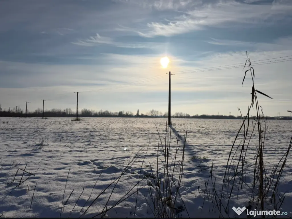 Teren Măgurele proprietar 4829mp 