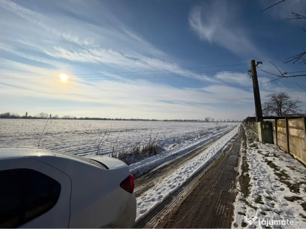 Teren Măgurele proprietar 4829mp 