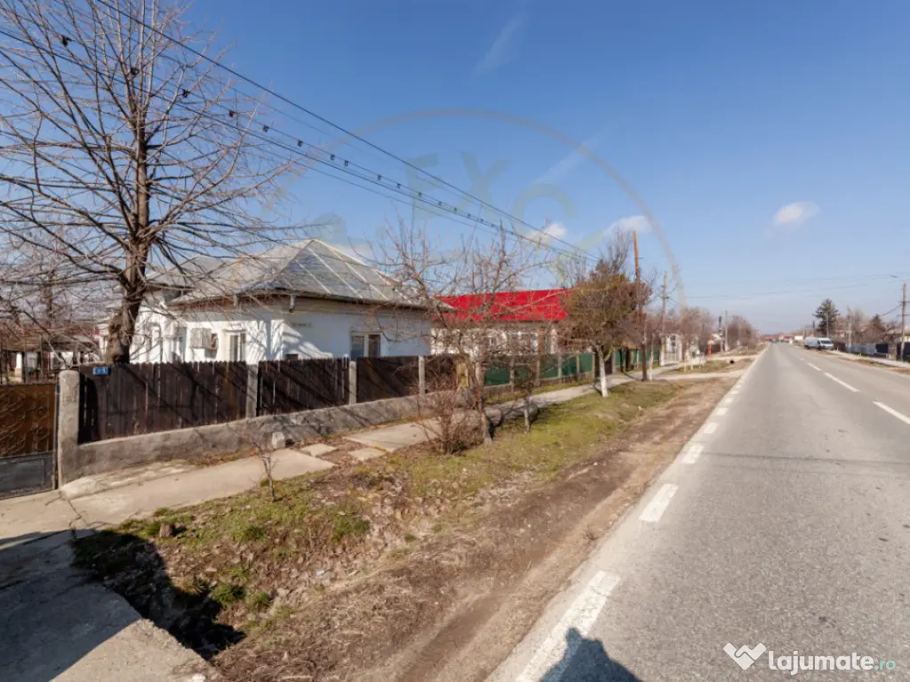 Casa parter + 3.055 mp teren in Costesti 