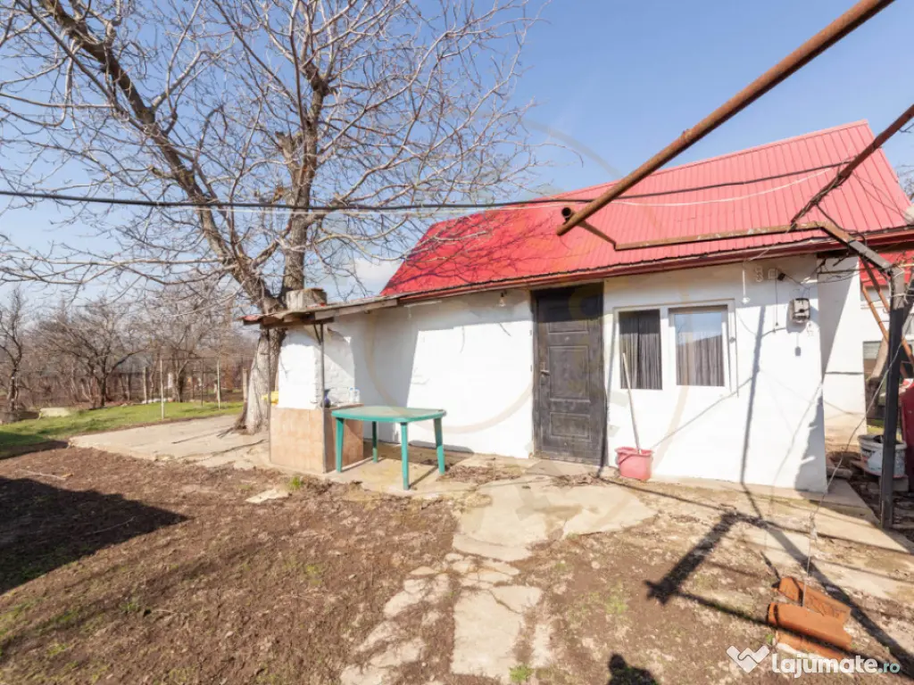 Casa parter + 3.055 mp teren in Costesti 