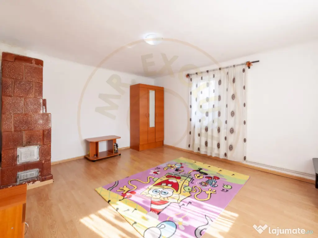 Casa parter + 3.055 mp teren in Costesti 