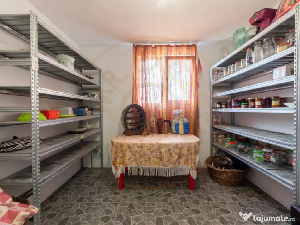 Casa parter + 3.055 mp teren in Costesti 