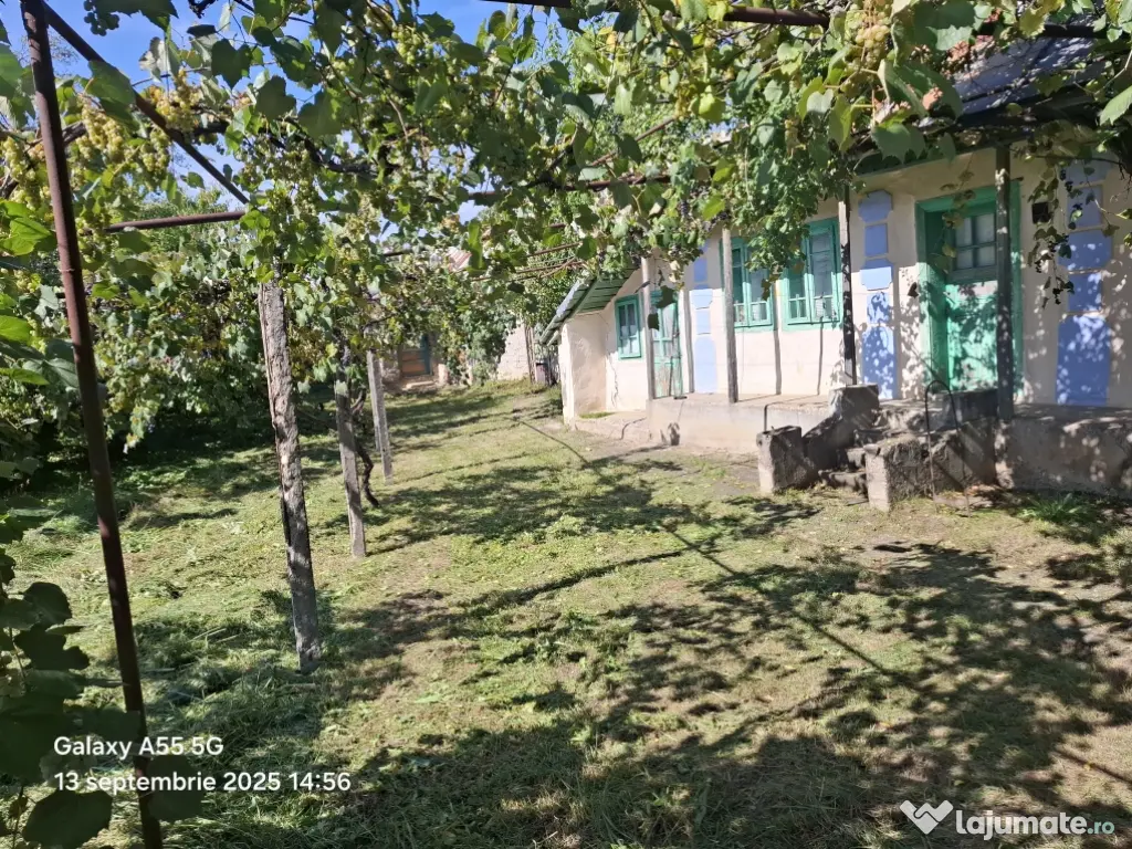 Vând casă batraneasca 