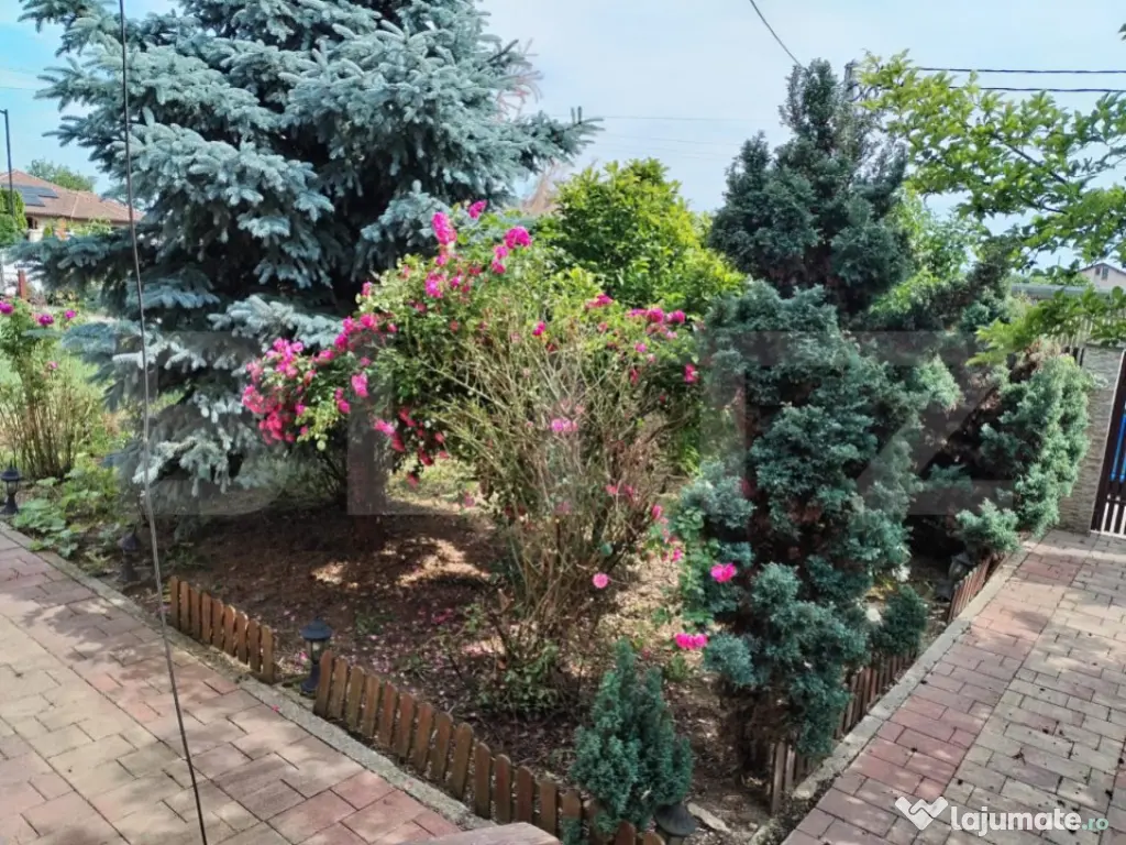 Casa, 3 camere, 693 mp teren, Lazuri 